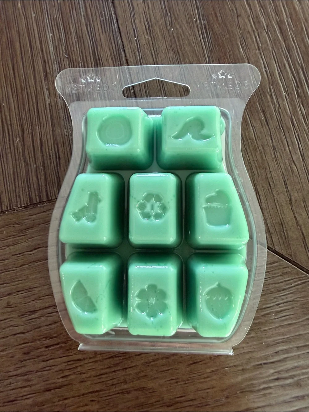 Scentsy Daydream Oasis Retired Wax Bar